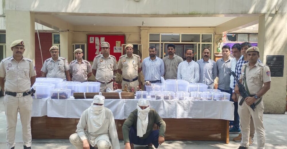 दिल्ली पुलिस
