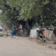 Delhi